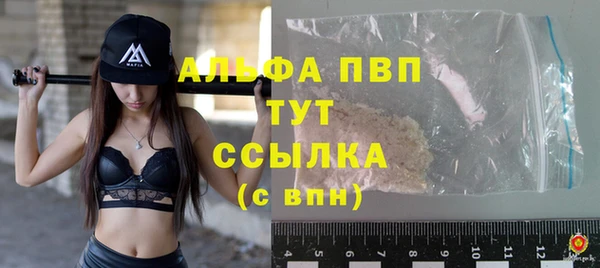 ПСИЛОЦИБИНОВЫЕ ГРИБЫ Белокуриха