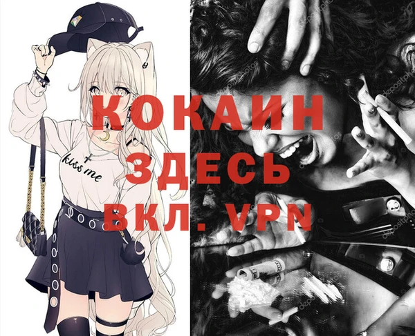 ПСИЛОЦИБИНОВЫЕ ГРИБЫ Белокуриха