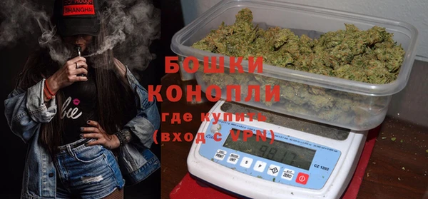 ПСИЛОЦИБИНОВЫЕ ГРИБЫ Белокуриха