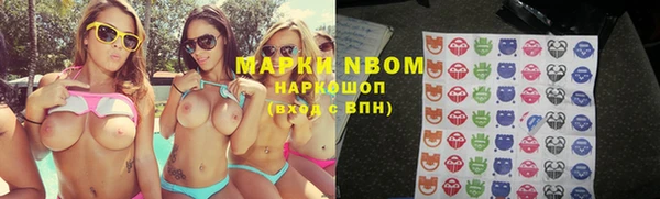 стафф Баксан