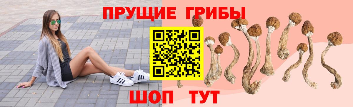Галлюциногенные грибы мицелий  Вход с VPN  Реж 